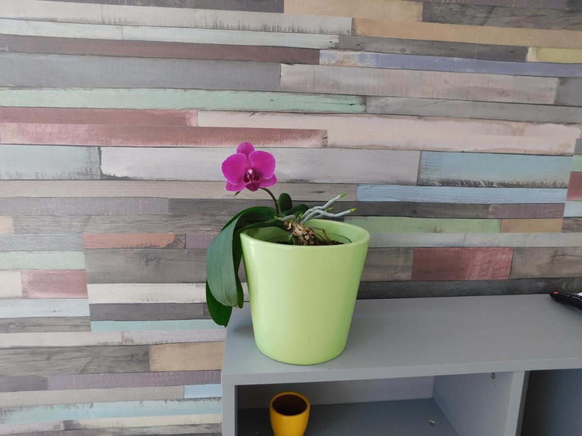 Tina Apartman Prnjavor Екстериор снимка